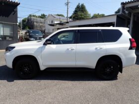 
									TOYOTA Land Cruiser Prado TX L Packet Matte Black Ed Pearl White 2022′ F7MNE full								