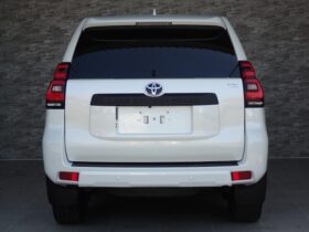 
									TOYOTA Land Cruiser Prado TX L Packet Matte Black Ed Pearl White 2022′ F7MNE full								