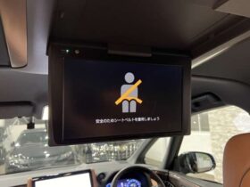 
									TOYOTA Vellfire Z Premier Black 2023′ F804X full								