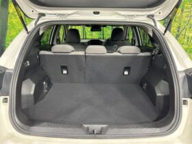 
									TOYOTA Impreza ST-G Pearl White 2023′ FC55Z full								