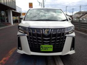 
									TOYOTA Alphard Hybrid S-Type Gold Pearl White 2020′ FC8FK full								
