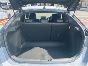 
									HONDA Civic e:HEV Gray 2023′ FEA8C full								