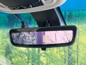 
									Honda Odyssey Absolute EX Purple 2020′ FGGH7 full								