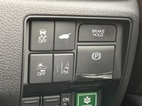 
									Honda Odyssey Absolute EX Purple 2020′ FGGH7 full								
