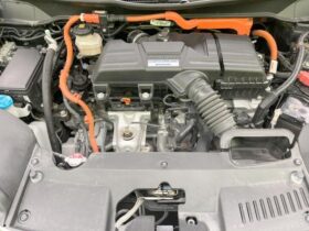 
									Honda Odyssey Absolute EX Purple 2020′ FGGH7 full								