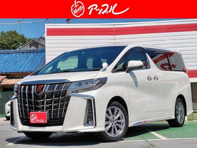 TOYOTA Alphard S-type gold? Pearl White 2023′ FGJNY