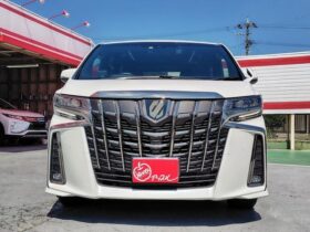 
									TOYOTA Alphard S-type gold? Pearl White 2023′ FGJNY full								