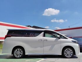
									TOYOTA Alphard S-type gold? Pearl White 2023′ FGJNY full								