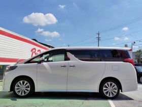 
									TOYOTA Alphard S-type gold? Pearl White 2023′ FGJNY full								