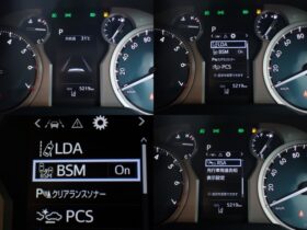 
									TOYOTA Land Cruiser Prado TX L Packet Matte Black Ed Pearl White 2023′ FKHM8 full								