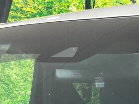
									TOYOTA Alphard S Type Gold Pearl White 2021′ FKQ8W full								