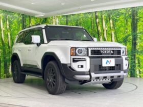 
									TOYOTA Land Cruiser Wagon VX Pearl White 2024′ FMVEX full								