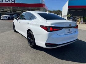 
									Lexus ES 2.5300h F Sport Pearl White 2023′ IJZO7 full								
