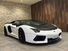 Lamborghini Aventador LP700-4 White 2012′ L96BL