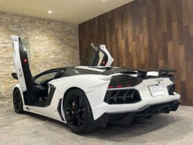
									Lamborghini Aventador LP700-4 White 2012′ L96BL full								
